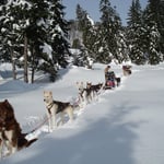 Pause nach der ansträngenden Wühlerei!