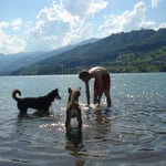 Was macht den der Chef da?!