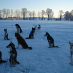 Brrrrrr, bitterkalts ist's im Jura....