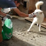 Sila schnappt sich das Teil und ab in die Hütte...