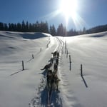 Bei blauem Himmel und Sonnenschein - schon schön! 