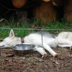 Uffff, geschafft....