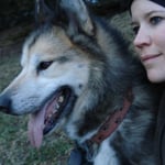 Ponok hatte immer noch Pause.