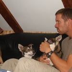 Troll, anständig bleiben ;-)