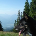 Es giebt viel zu schauen und schnuffen!