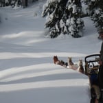 Trailbreaken - Willow muss Schwerstarbeit leisten und mach seinen Job super!