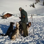 Ab und zu gibts mal ein Goodie...