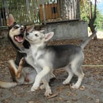 Grosse- und Kleineschwester.