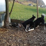 Juhuuui, endlich jemanden zum Spielen!