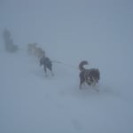 Start im Nebel, aber egal, denn auf Willow ist Verlass...