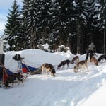 Suppe zur Stärkung.