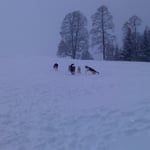 Chumana führt die Globuslineracker an.