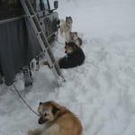 Was strampeln sich die Kleinen da so ab?! Spahrt eure Kräfte!