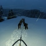 Abend/Nachttour - alleine mit 9 Hunden unterwegs!