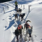 Klein Olo, das erste mal voll mit dabei - hat es super gemacht!