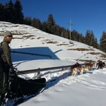 Alva war das erste mal mit auf Tour und hat fast alles verschlafen! ;-)