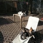 Alle machen es sich gemütlich.