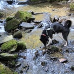 Unterwegs mit Chumana...