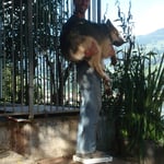 Jetzt gilts Ernst...