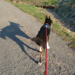 Chumana und ihr Schatten...