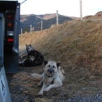 Ruhe vor dem Start, bald gehts los!