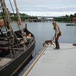 Die Wikinger spielen natürlich eine wichtige Rolle...