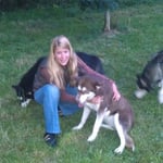 Bei Stephu, Mimi und ihren Malamuten, immer wieder toll...