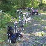 Elias zu Besuch im Toggenburg, da wird kurzerhand ein kleines Training eingebaut...