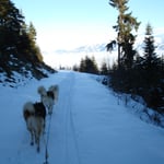 Ab nach Hause - in den Nebel! :-((