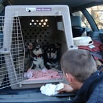 Ankunft im Ruggerli nach einer langen Reise...