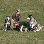 Finn, der Hahn im Korb!