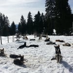 "sunnele" am Stake-out!