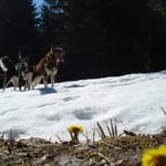 Chumana und Willow, ein tolles Team!