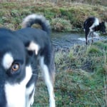 Finn muss sich die Kamera mal genauer anschauen.