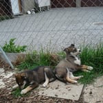 kleien Verschnaufpause...