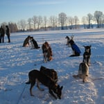 ... zum Glück zeigt sich bald die Sonne!