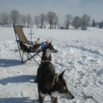 Siri und Smilla führn was im Schilde... 