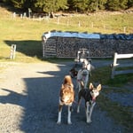 gleich gehts weiter...