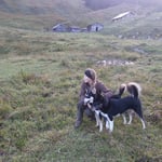 Was machen denn die da`