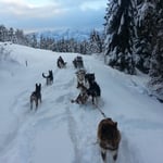 Kurze Pause und dan zurück.