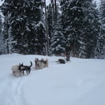 Wir haben es schon etwas leichter.