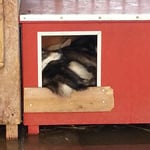 In der Kleinsten Hütte ist Platz!;-)