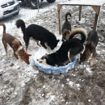 Baden mal anders ;-)