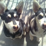 Juhhuuui, wir machen einen Ausflug...