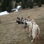 Kurze Verschnaufpause, bis Lumpi mit seinm Gespann da ist.