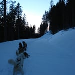 Kleine Tour in der Dämmerung.