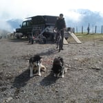 Müssen wir wirklich?! ;-)