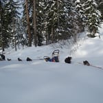 Chef kontroliert etwas.