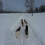 Super Trails im Jura!