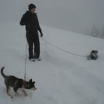 Phuu, 30 cm Schnee sind für so einen kleinen Hund schon ganz schön viel!